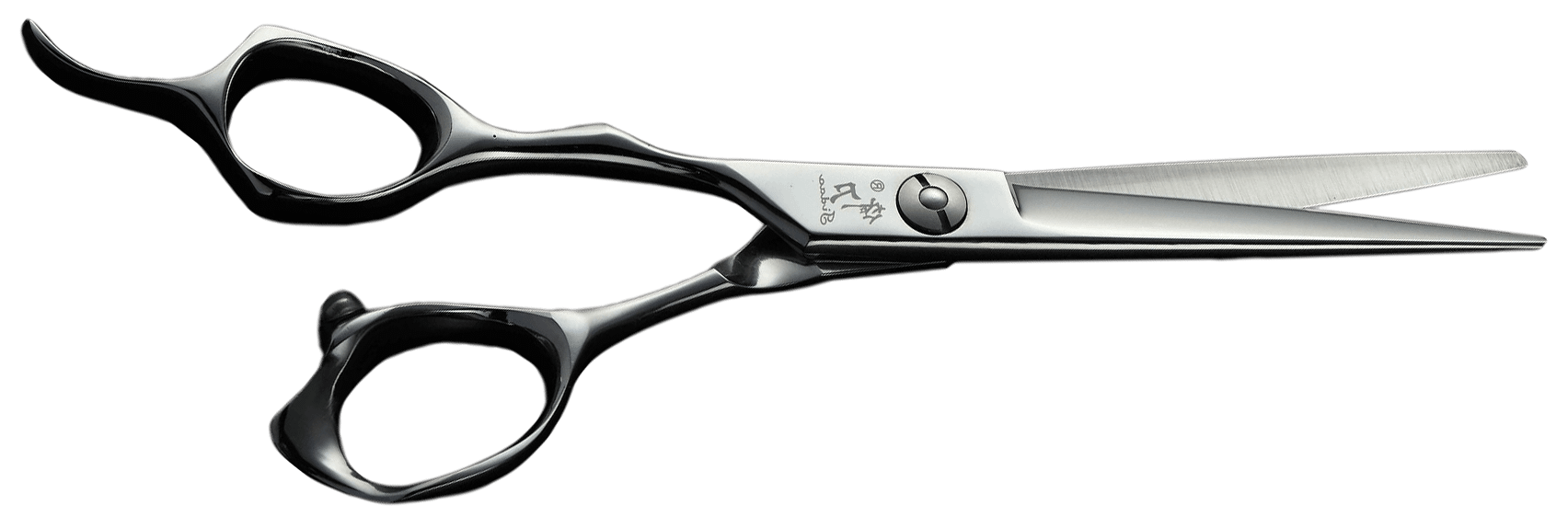 Twisted Scissors Cut Color Care